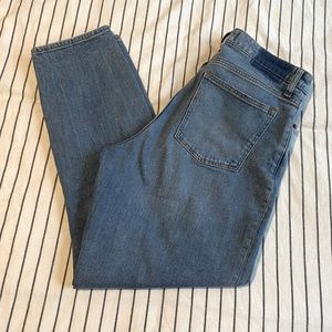 Abercrombie & Fitch Curve Love High Rise Mom Jeans